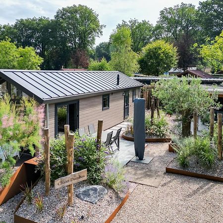 Modern Ingericht Chalet Op Groen Park Op De Veluwe Epe Kültér fotó