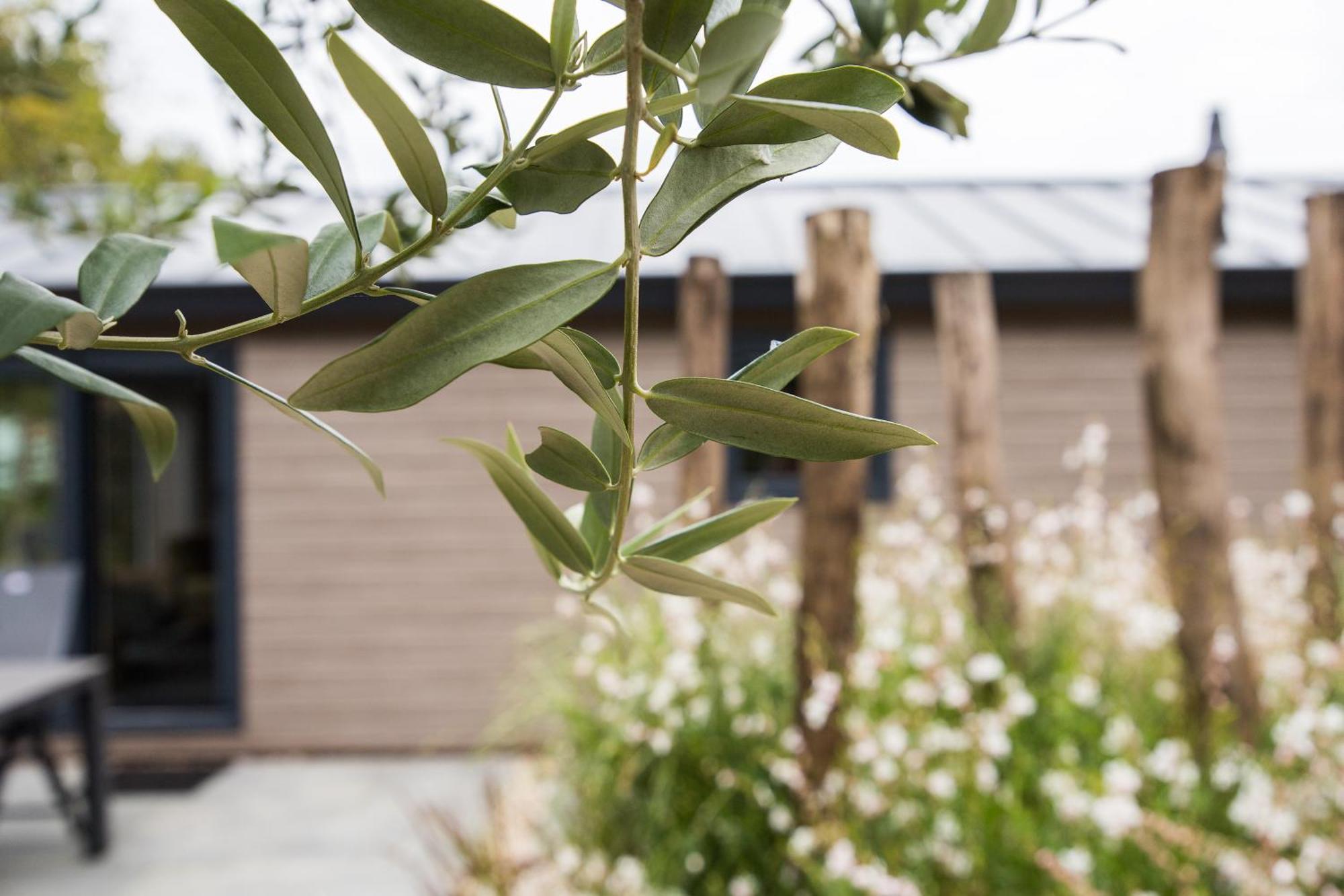 Modern Ingericht Chalet Op Groen Park Op De Veluwe Epe Kültér fotó