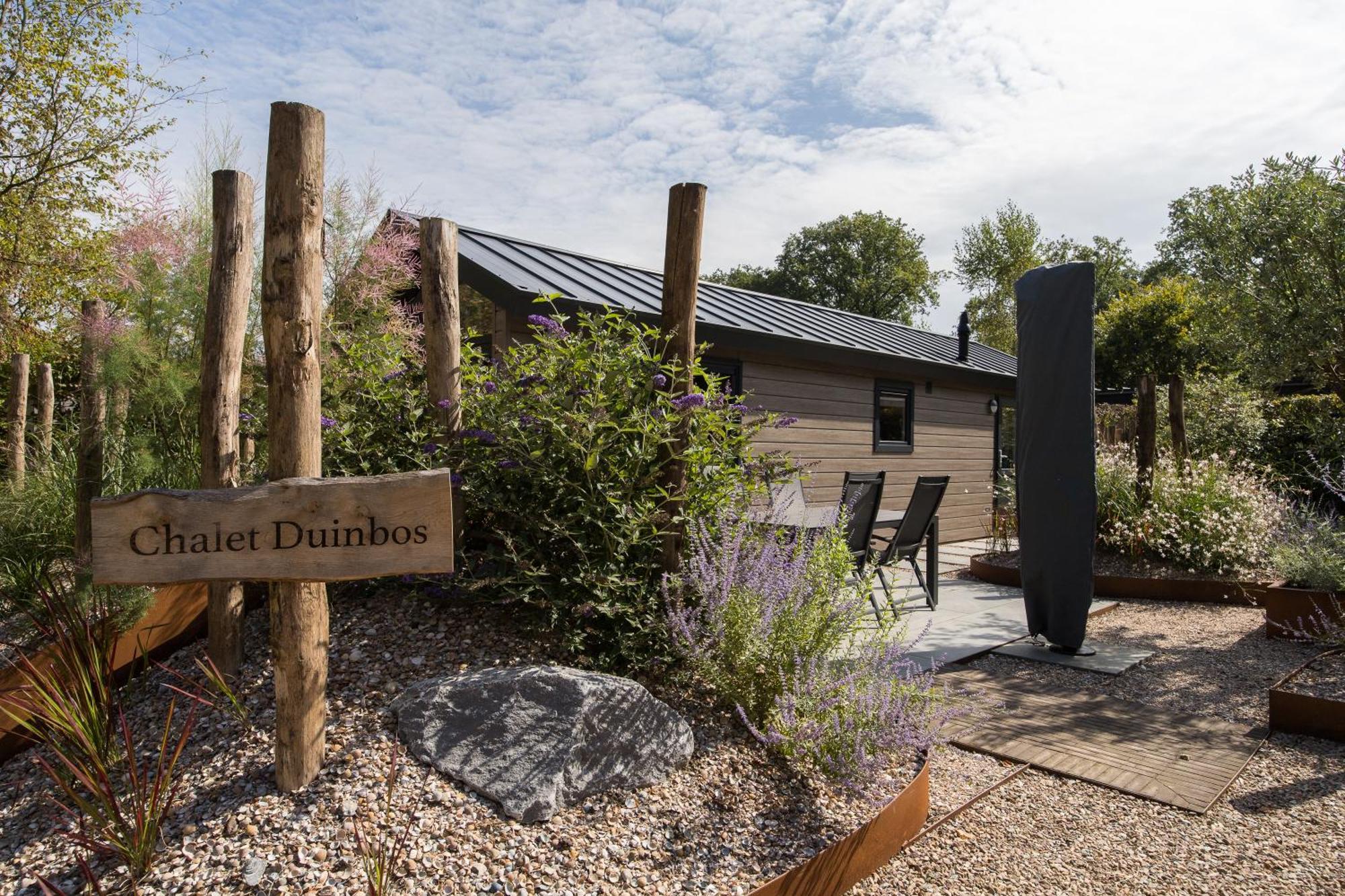 Modern Ingericht Chalet Op Groen Park Op De Veluwe Epe Kültér fotó