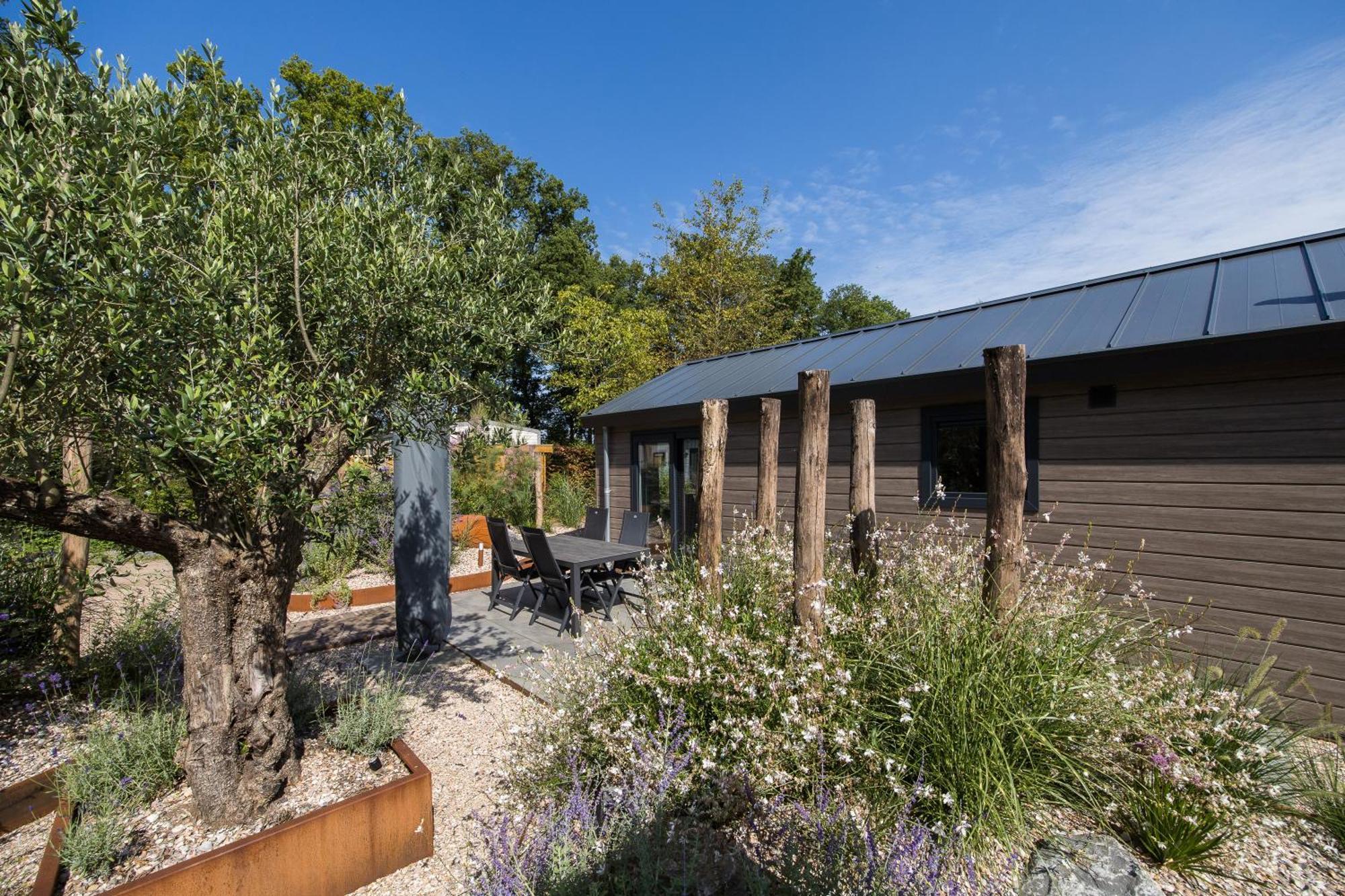 Modern Ingericht Chalet Op Groen Park Op De Veluwe Epe Kültér fotó