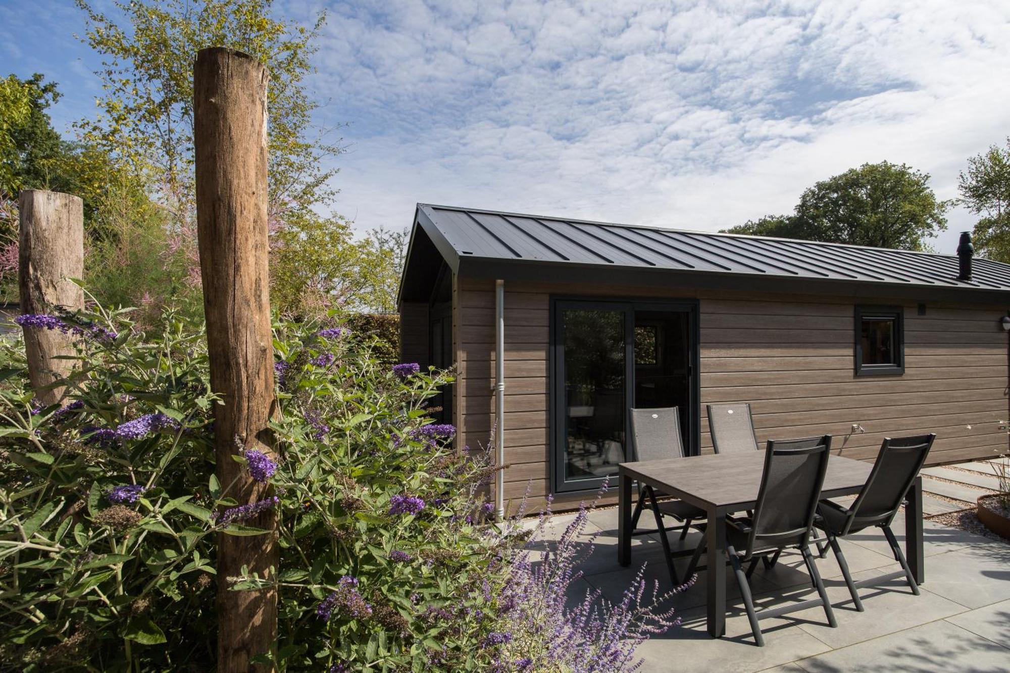 Modern Ingericht Chalet Op Groen Park Op De Veluwe Epe Kültér fotó