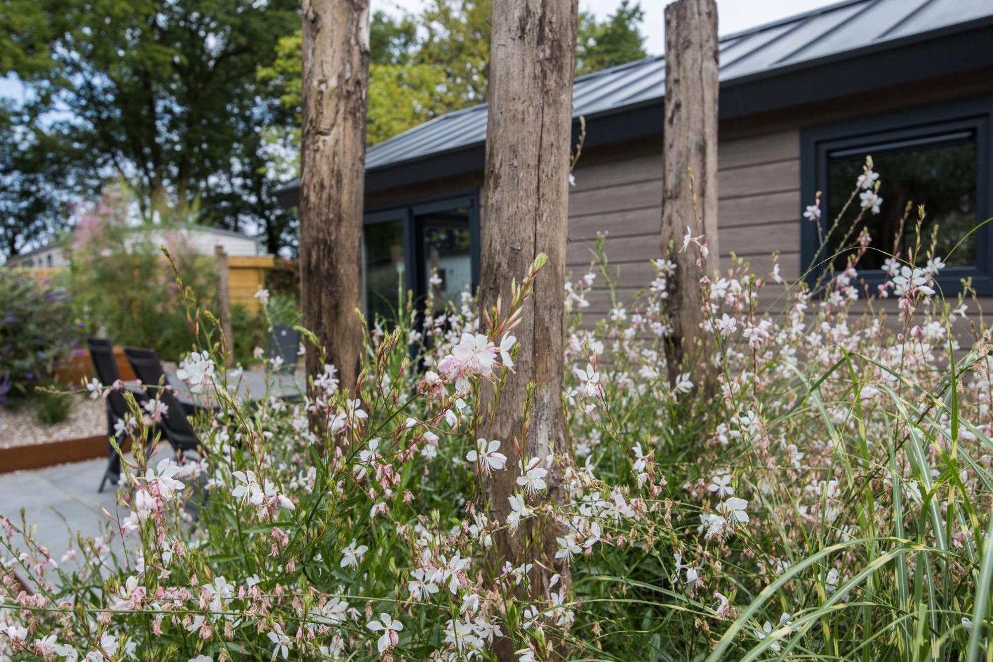 Modern Ingericht Chalet Op Groen Park Op De Veluwe Epe Kültér fotó